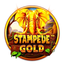 bet677 se bet cassino Android